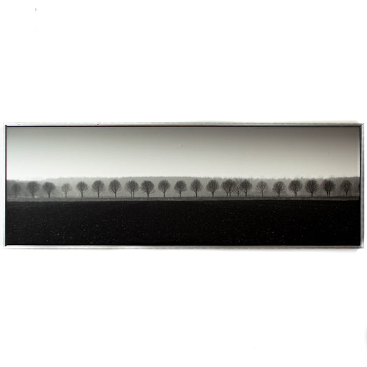 Art - Dappled Morning Fields Large 90" X 30 CLEARED