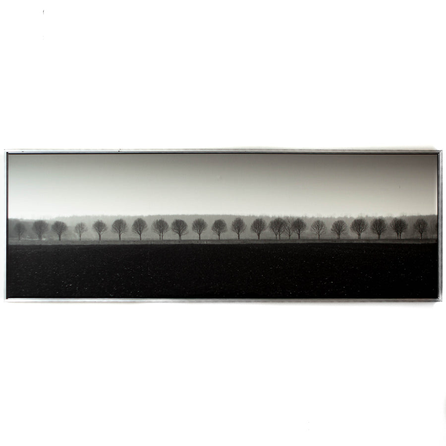 Art - Dappled Morning Fields Large 90" X 30 CLEARED