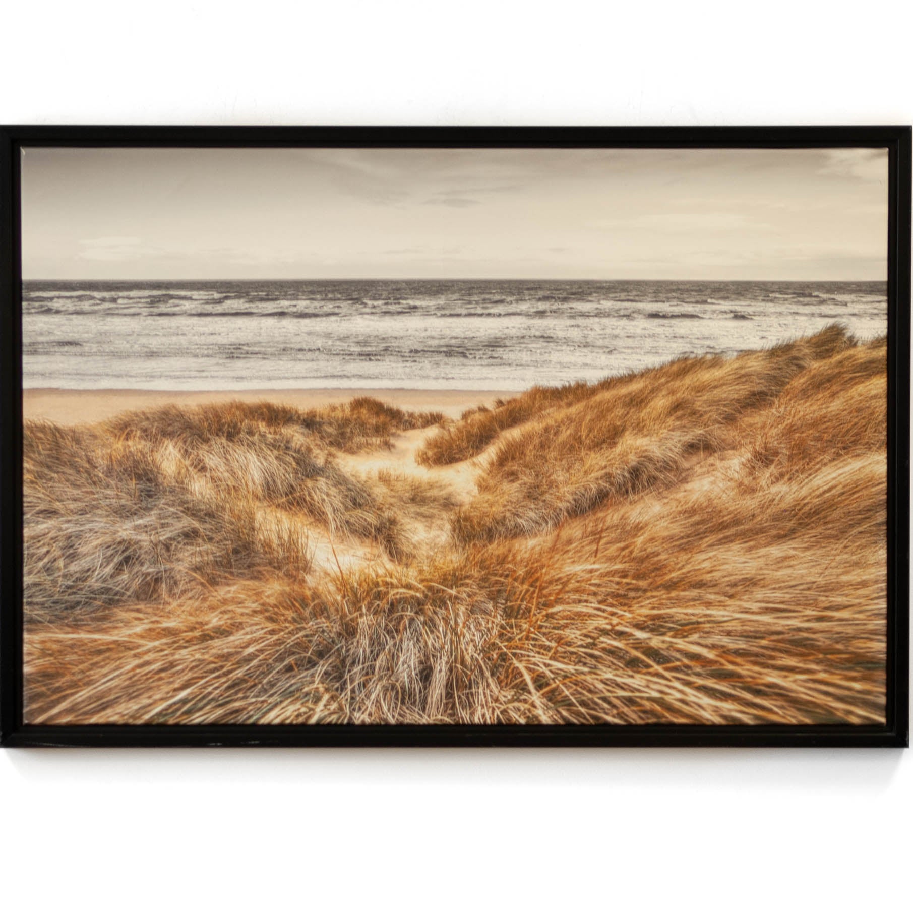 Beach Dunes - Cleared - 36 x 24