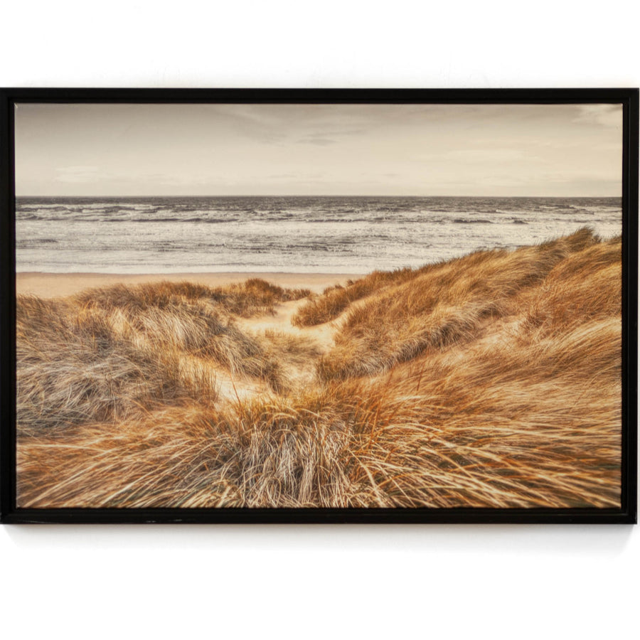 Beach Dunes - Cleared - 36 x 24