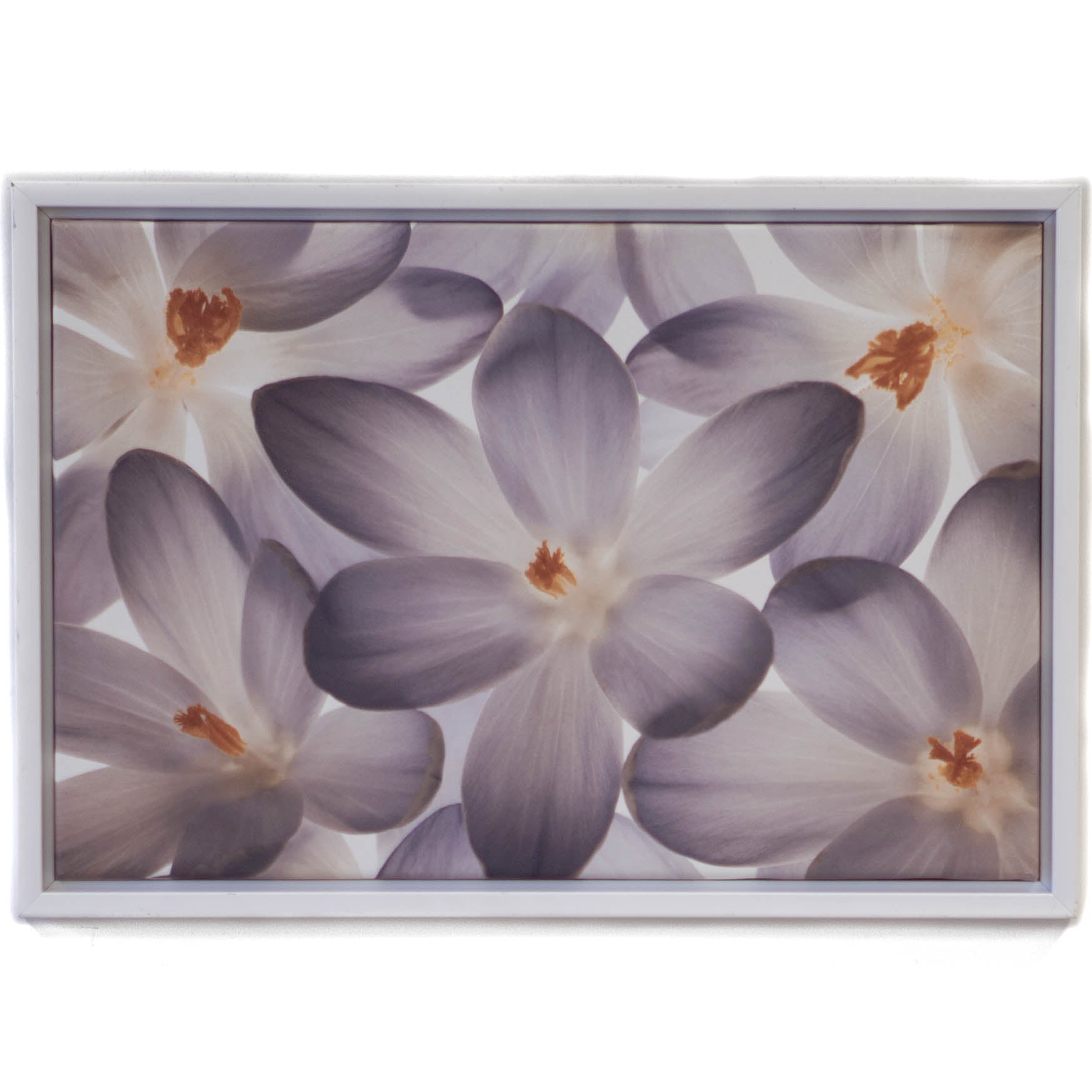 Art - Petal Perfect - Small - CLEARED 24" X 16"