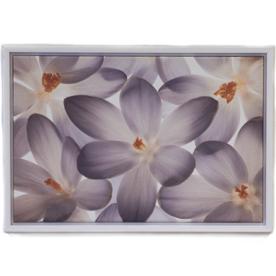 Art - Petal Perfect - Small - CLEARED 24" X 16"