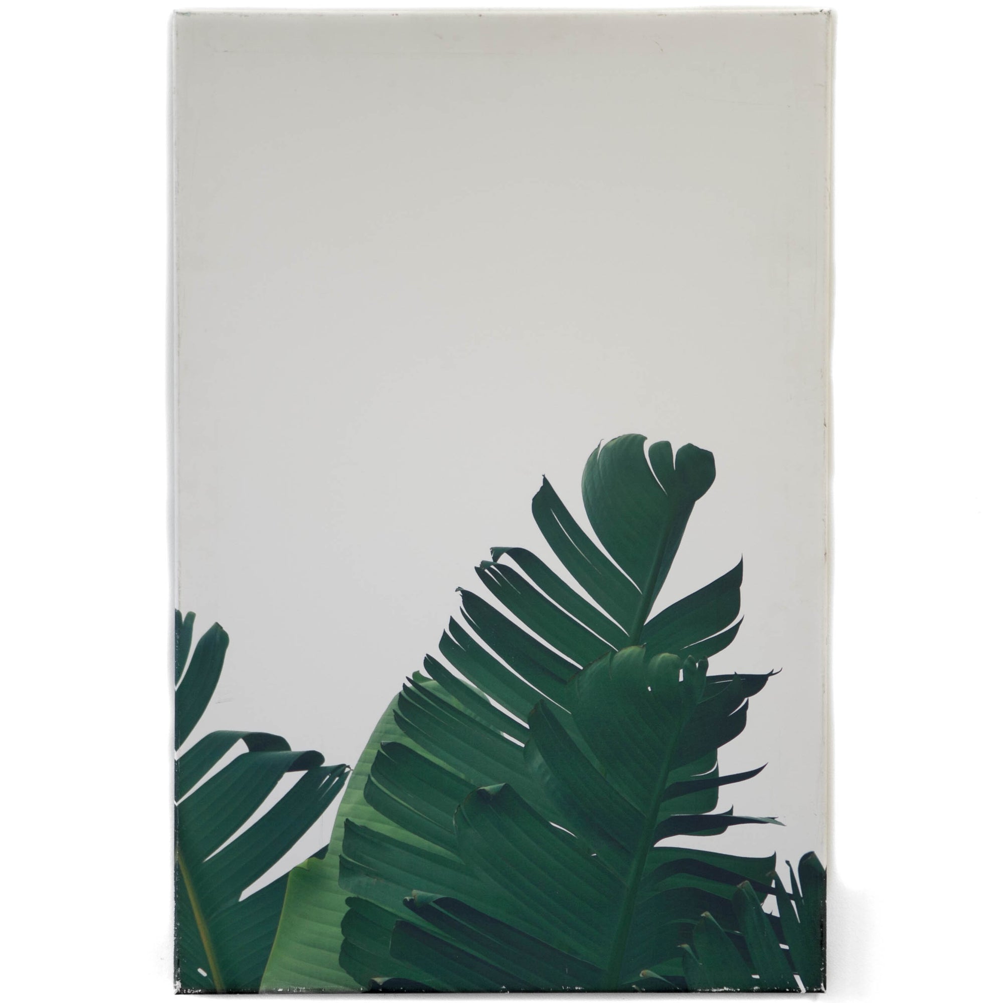 Art - Banana Leaf 1 Medium 24" X 36" CLEARED