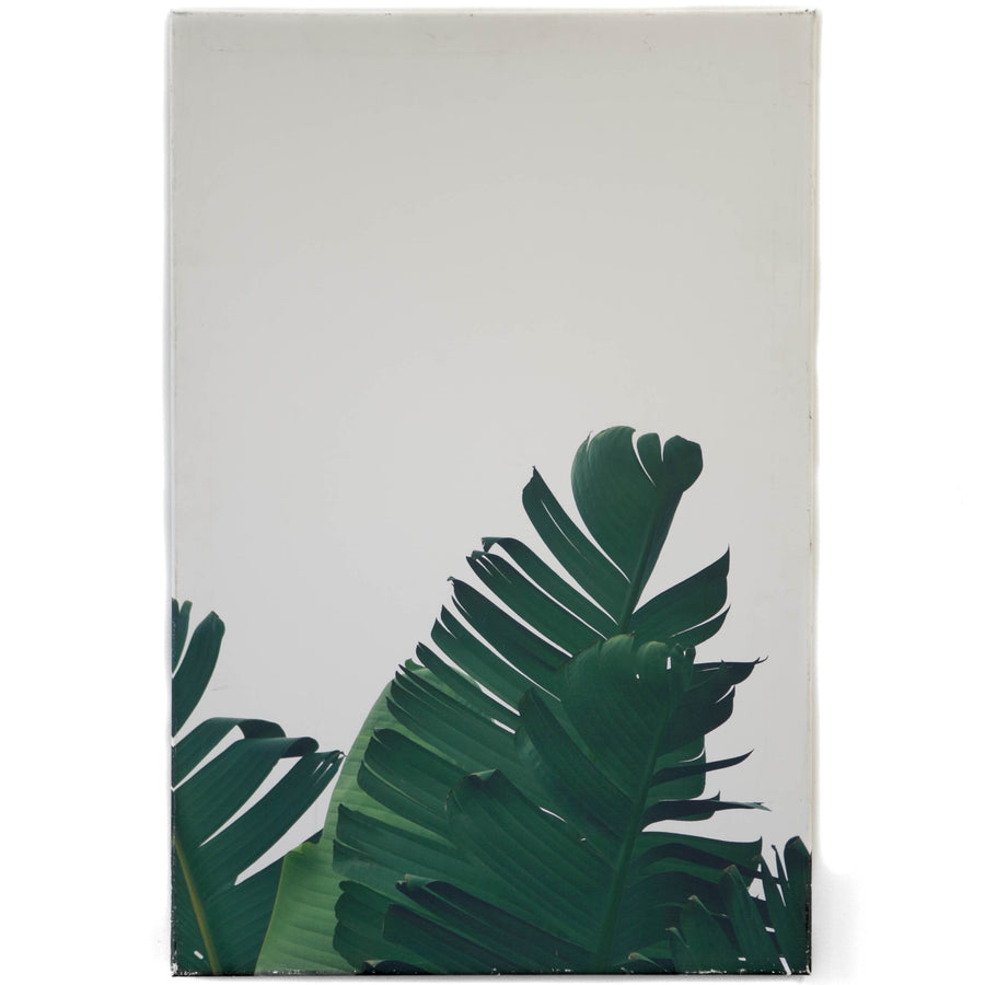 Art - Banana Leaf 1 Medium 24" X 36" CLEARED