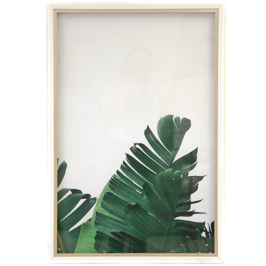 CLEARED Banana Leaf 1 Framed