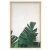 Art - Banana Leaf 1 Framed Medium 26" X 37" CLEARED