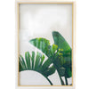 Art - Banana Leaf 2 Framed Medium 26" X 37" CLEARED