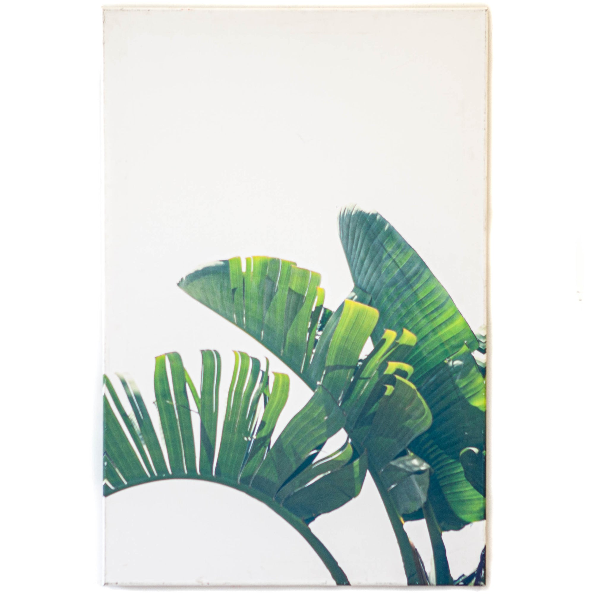 Art - Banana Leaf 2 Medium 24" X 36" CLEARED