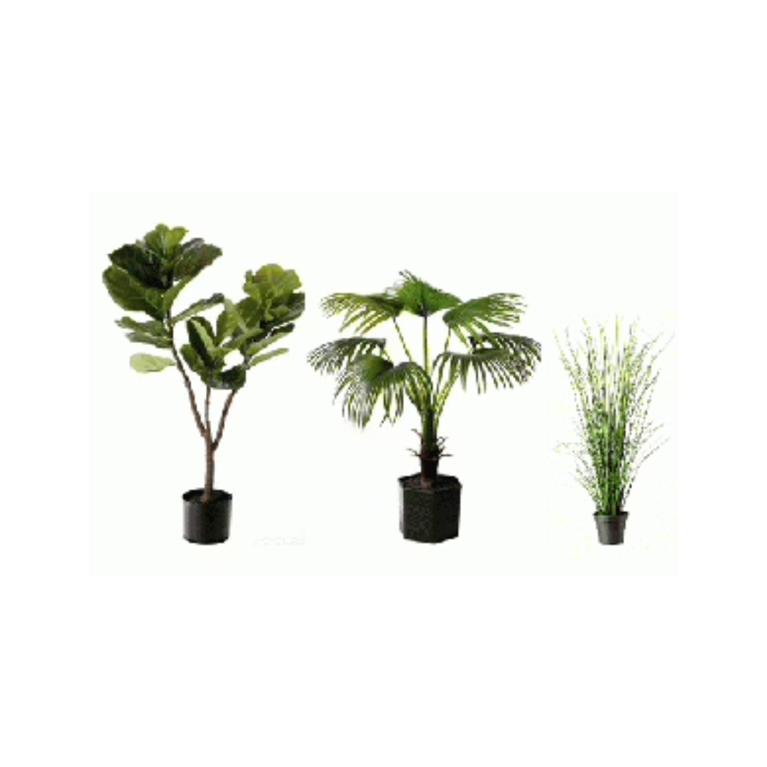 Tree - Small 4ft or Smaller