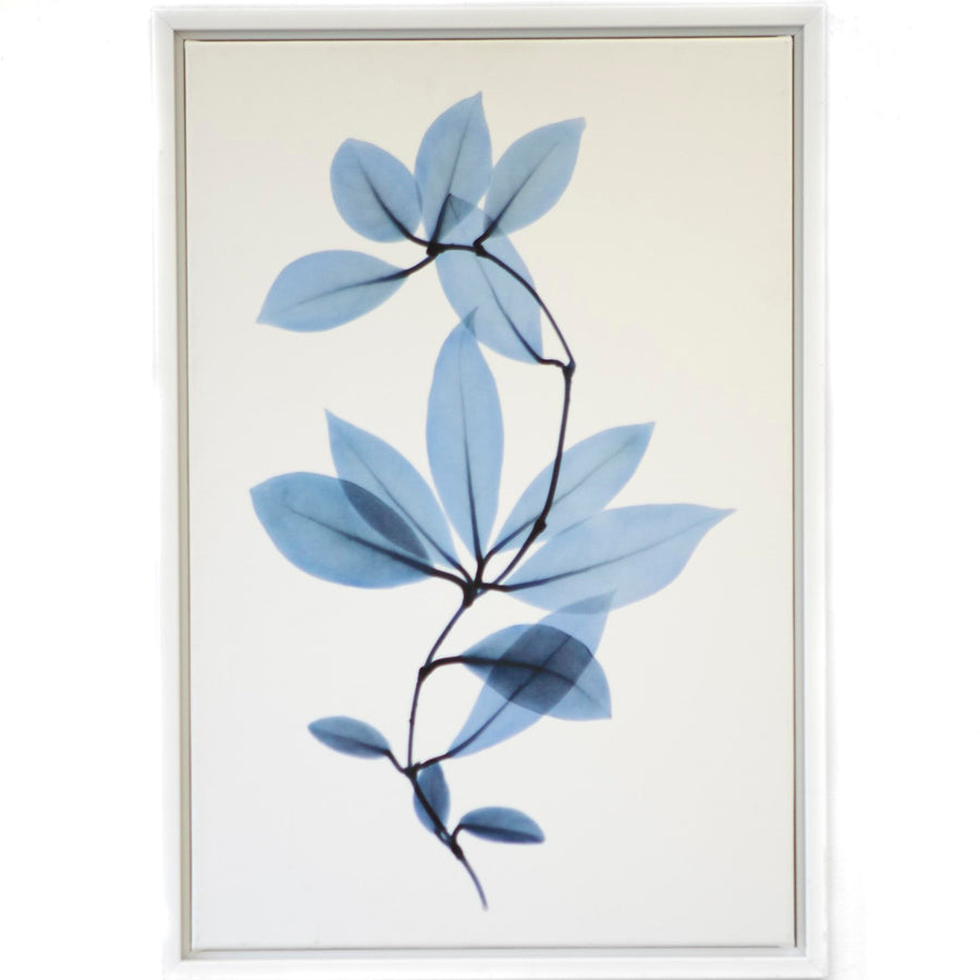 Art - Get Growing II Medium 18" X 27" CLEARED