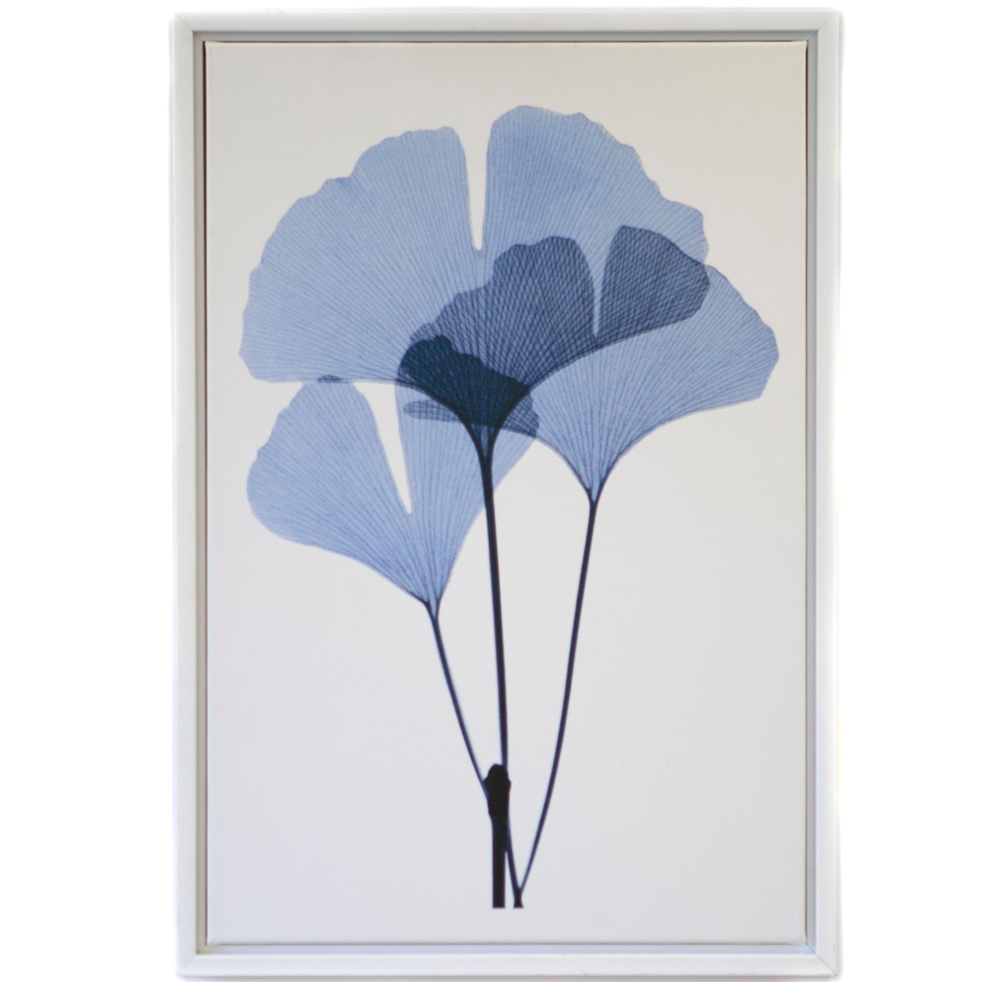 Art - Get Growing I Medium 18" X 27" CLEARED