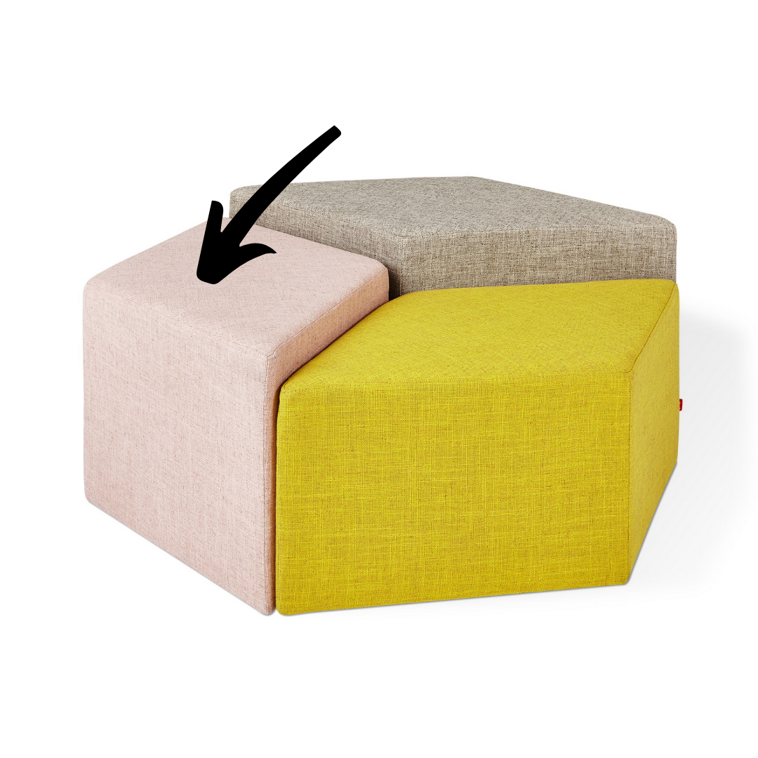 Trillium Caledon Dahlia