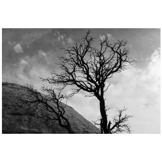 Art - B&W Desert 4 - SMALL - CLEARED 24" x 36"