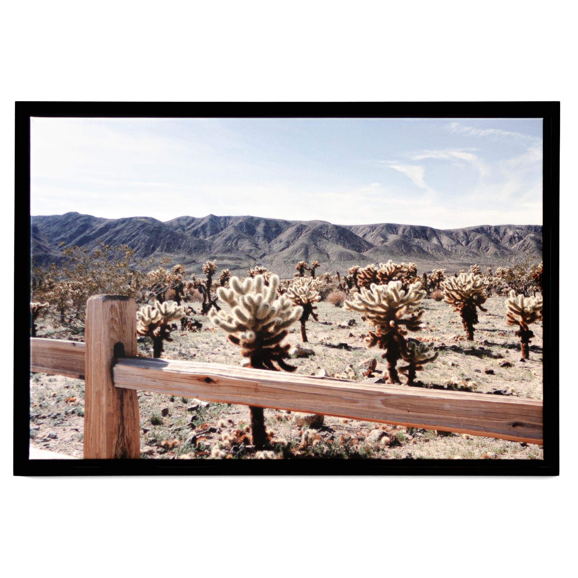 Art - Desert 4 Colour Medium 24" X 36" CLEARED