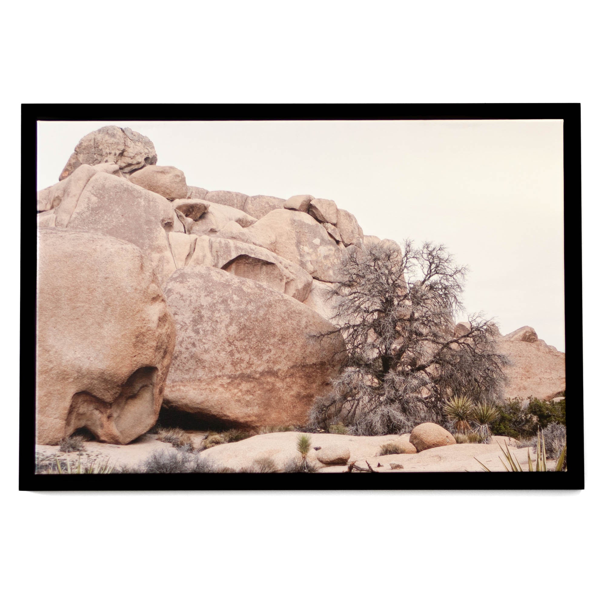 Art - Rocks 3 Medium 24" X 36" CLEARED