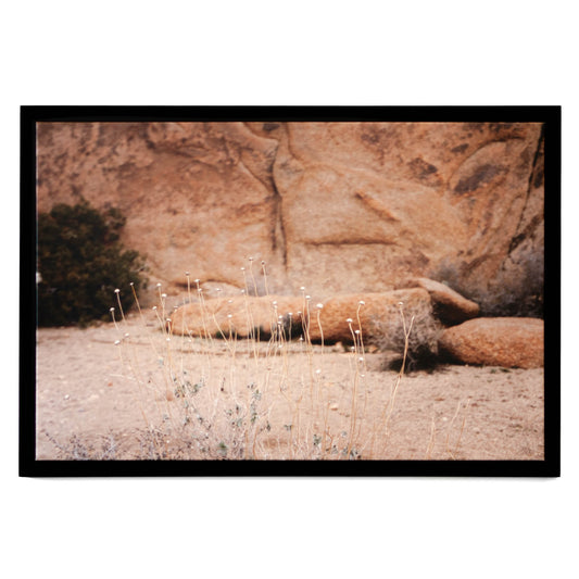 Art - Rocks 4 - SMALL - CLEARED 24" x 36"