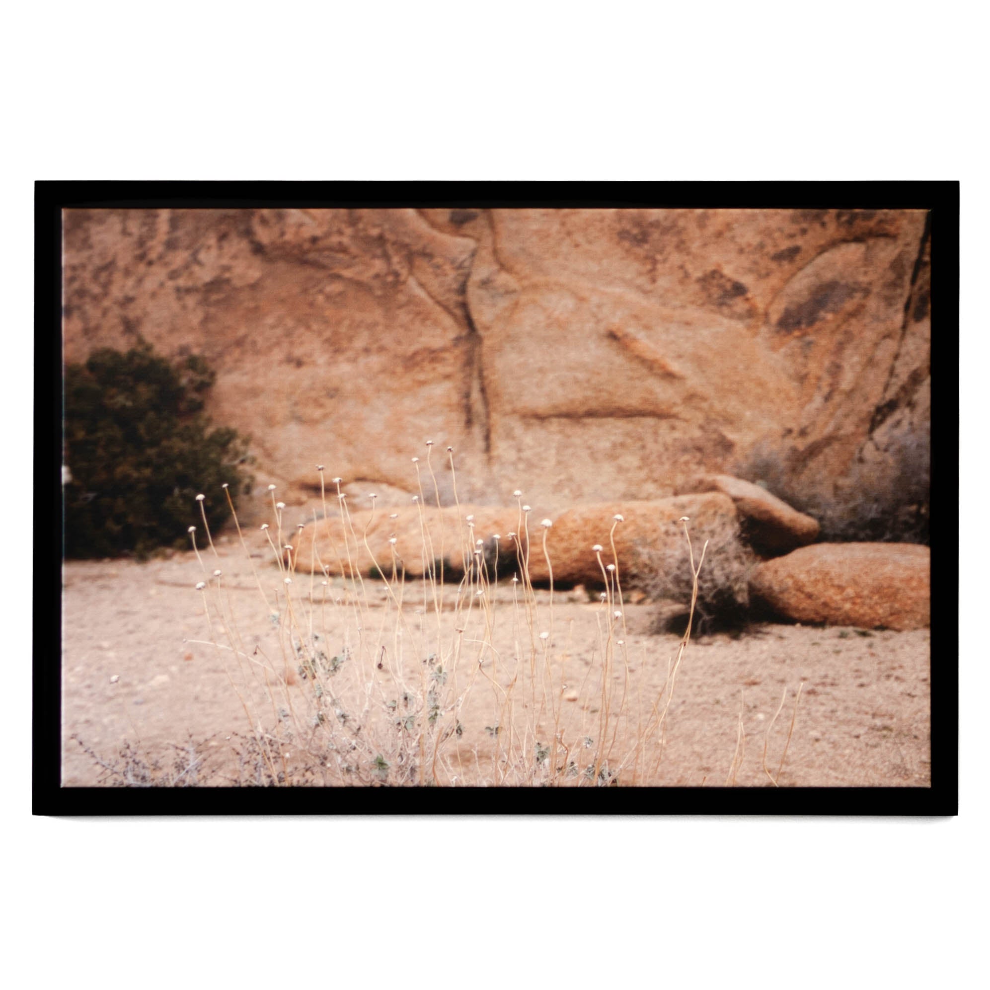 Art - Rocks 4 - SMALL - CLEARED 24" x 36"