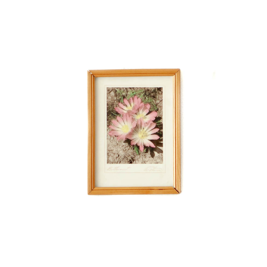 Art - Pink Flowers - SMALL - NOT CLEARED 6" X 8"