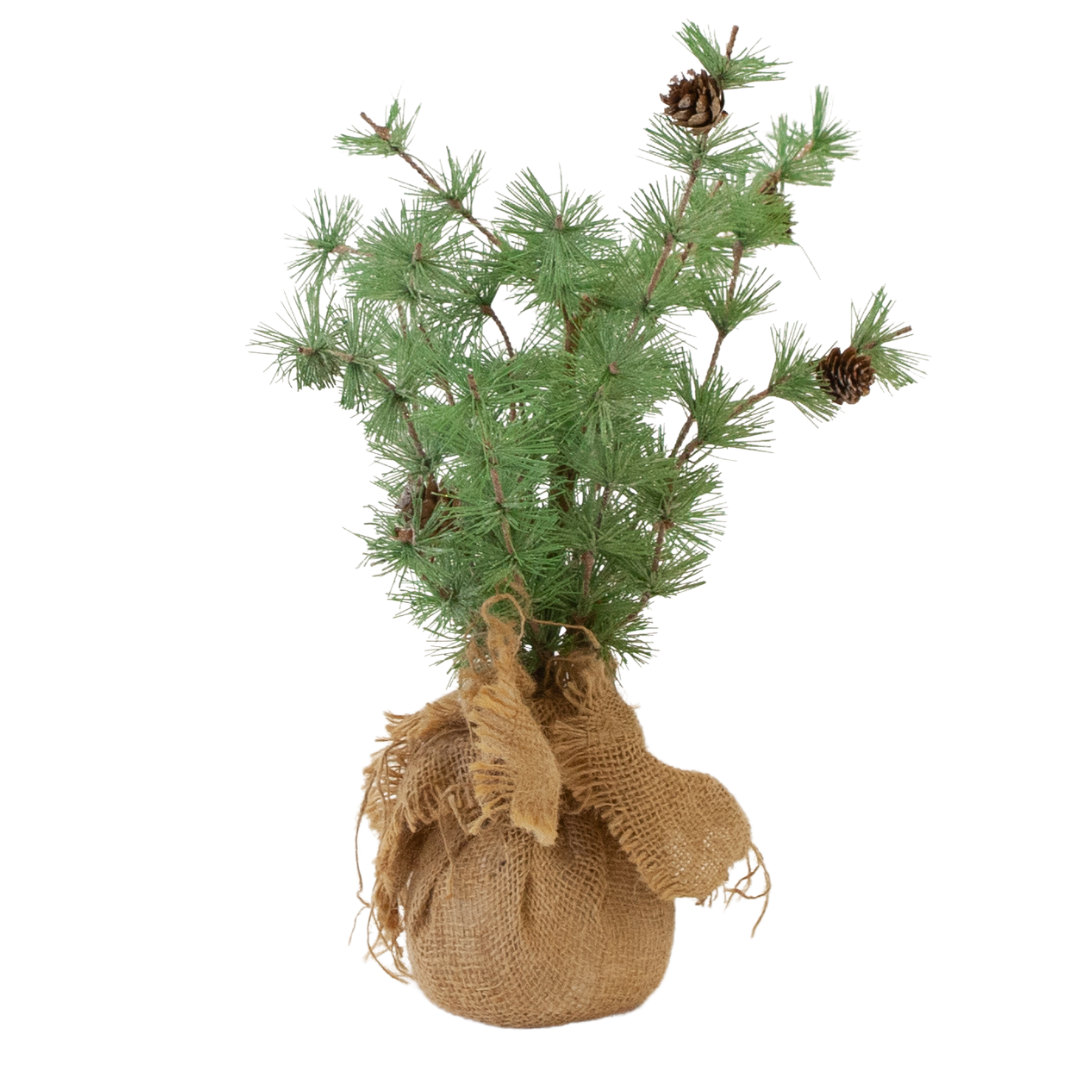 Tree w/ Frosted Pine Needles