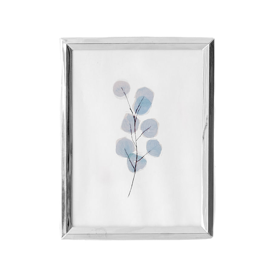 Art - Silver Frame - Small - CLEARED 6" X 8"