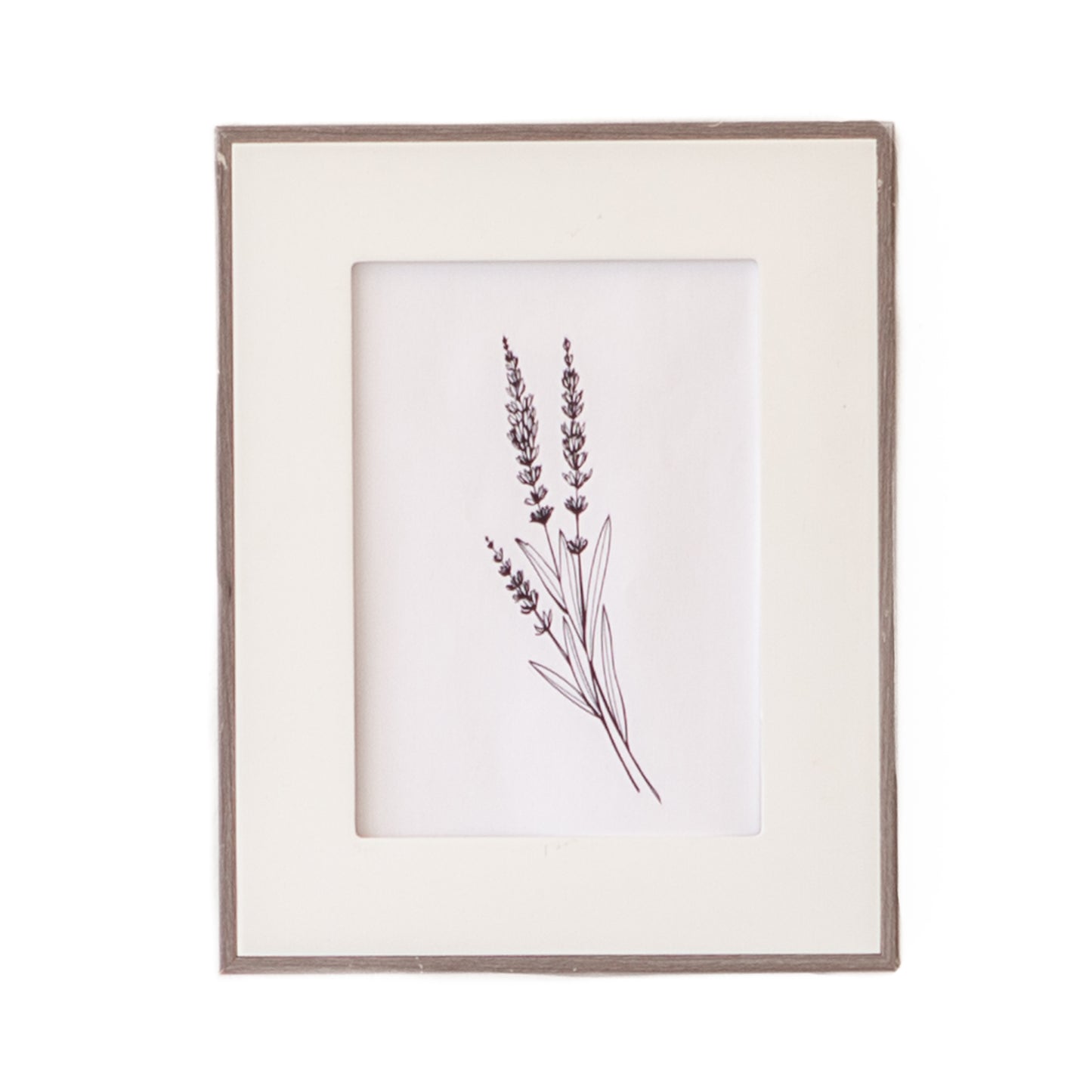 Art - Plant Wood Frame - Small - CLEARED 8" X 10"