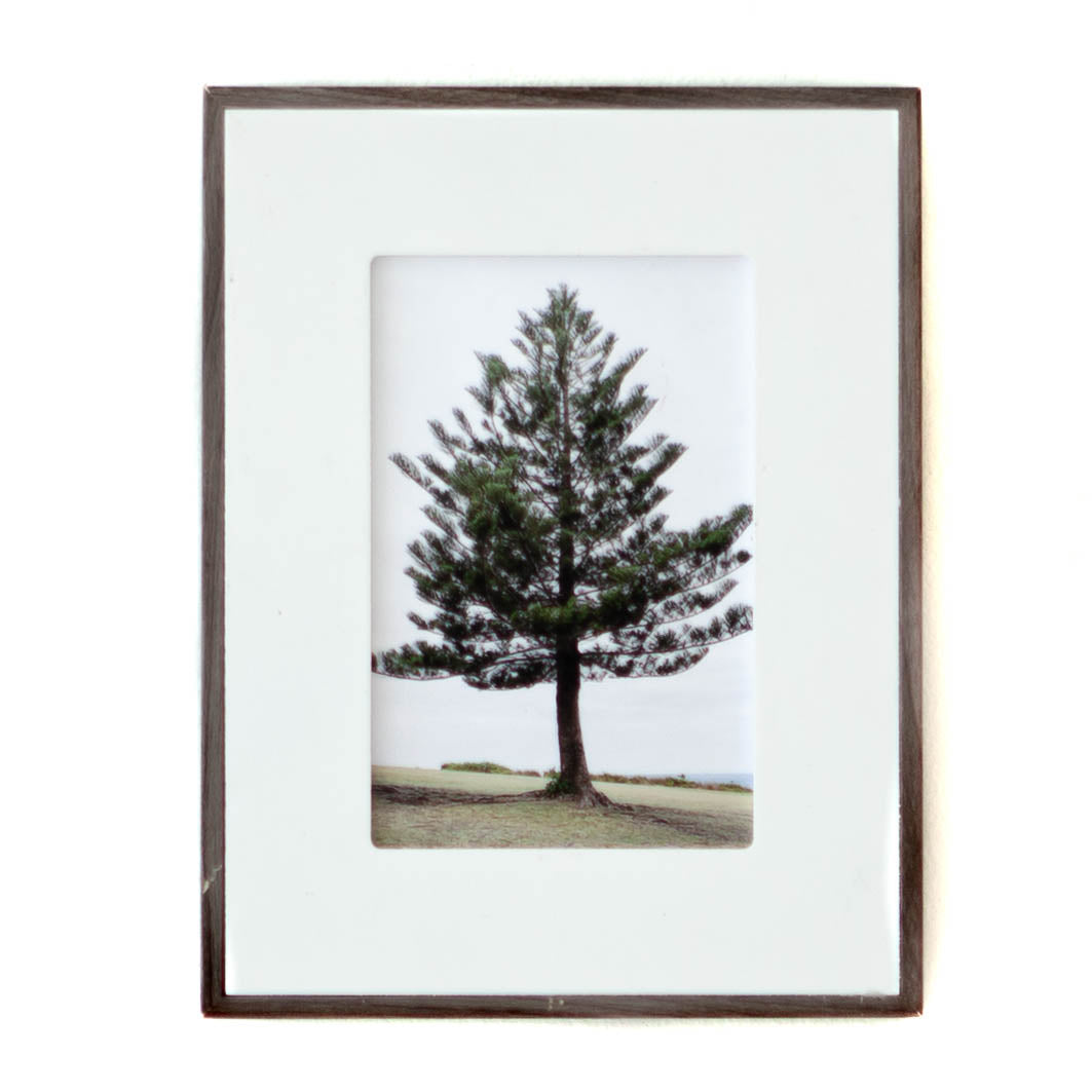 Art - Lone Tree - SMALL - CLEARED 8" x 10"