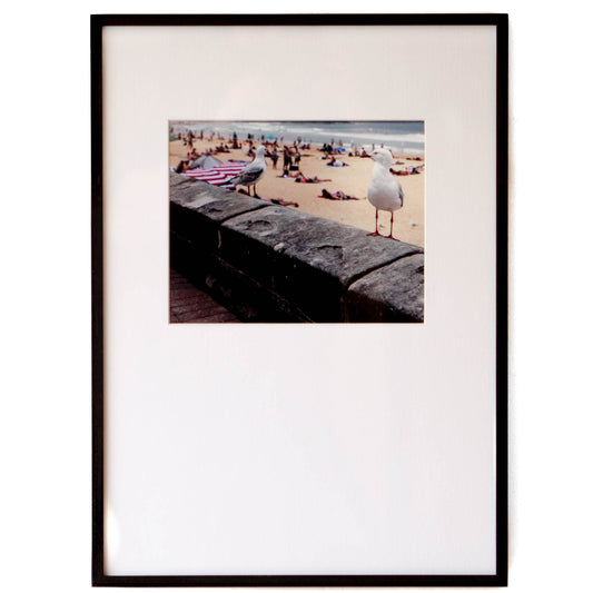 Long Rectangular Seagulls - Cleared - 21 x 14