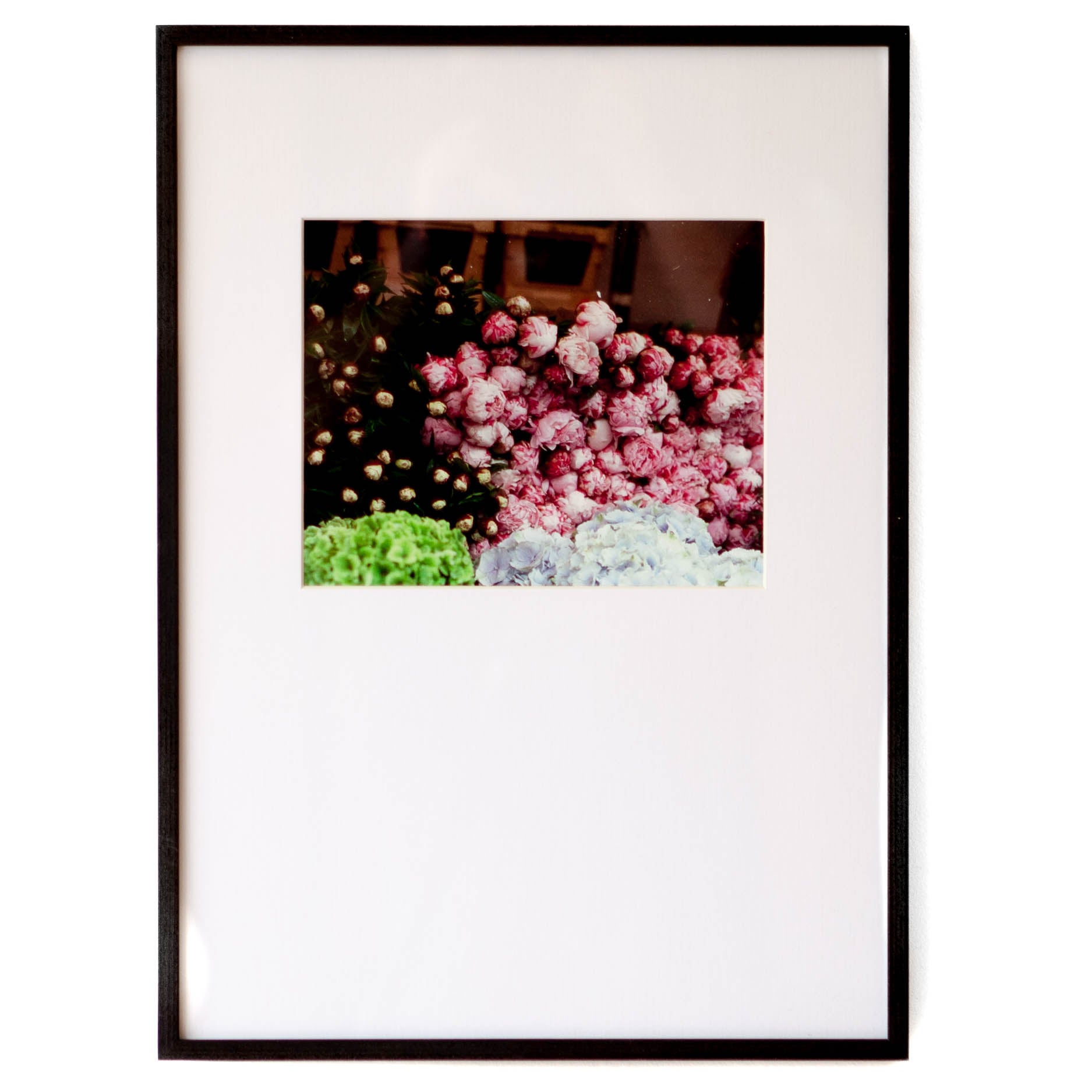 Long Rectangular Spring - Cleared - 21 x 14