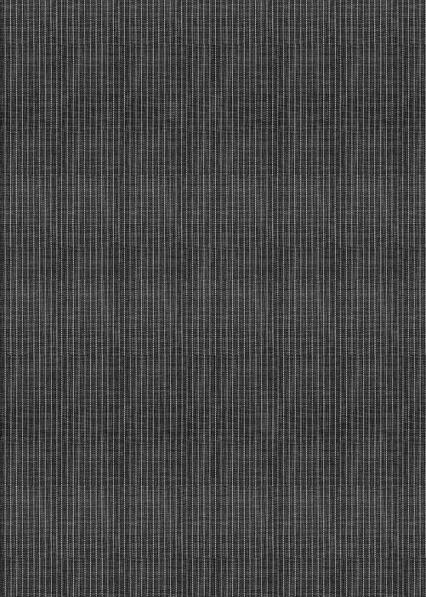 Black Rug w/ White Stripes