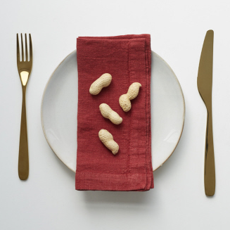 Napkin - Luxury Linen Dusty Red