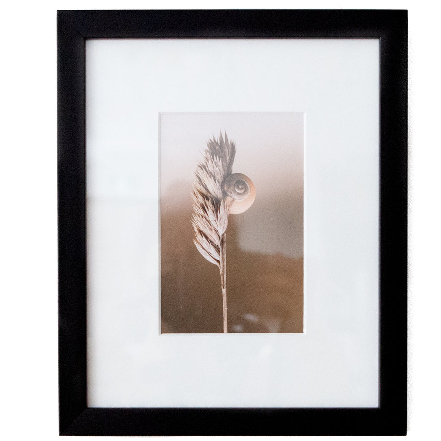 Art - Snail on Wheat - SMALL - CLEARED 12" x 9"