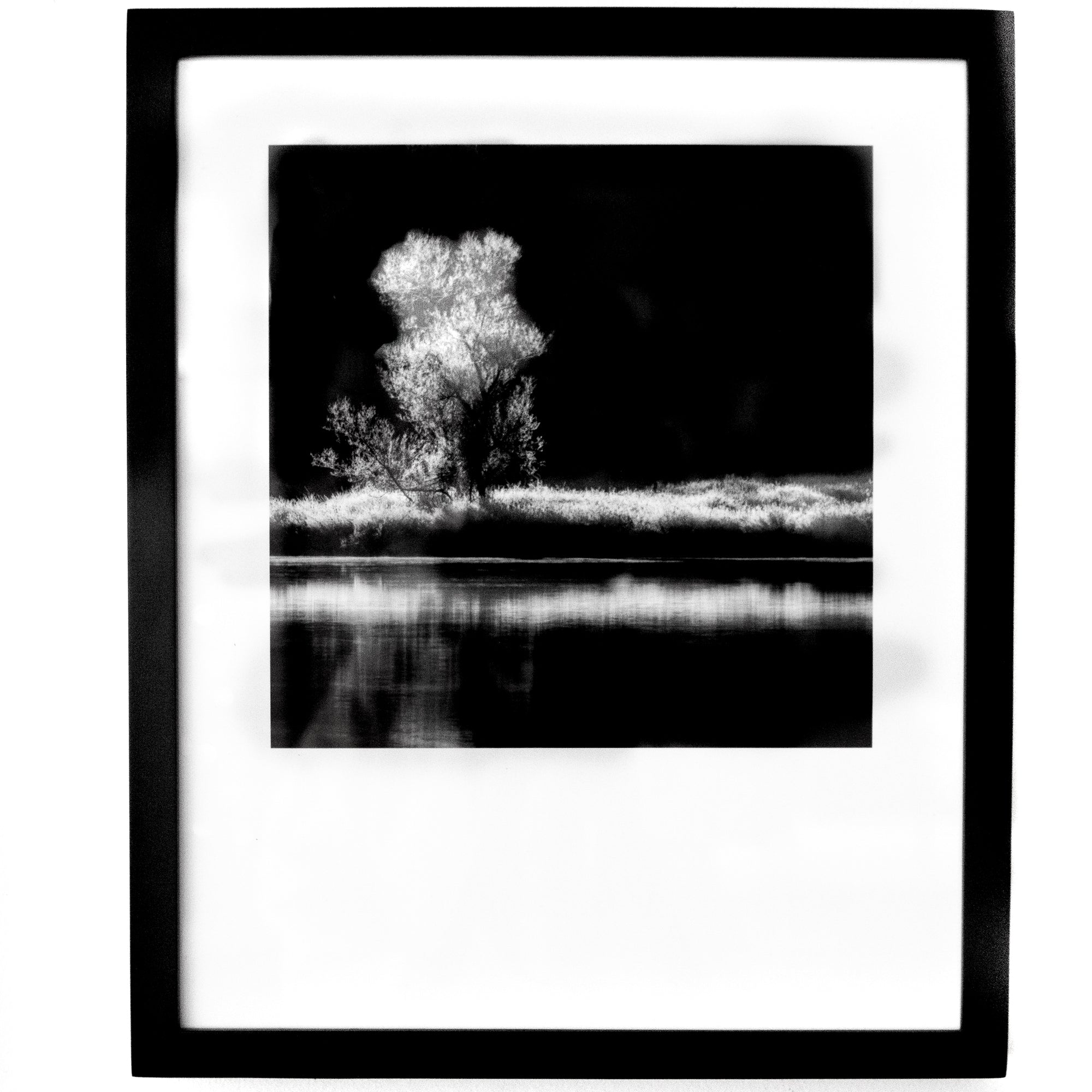 Art - B&W Tree Reflection - SMALL - CLEARED 14" x 17"