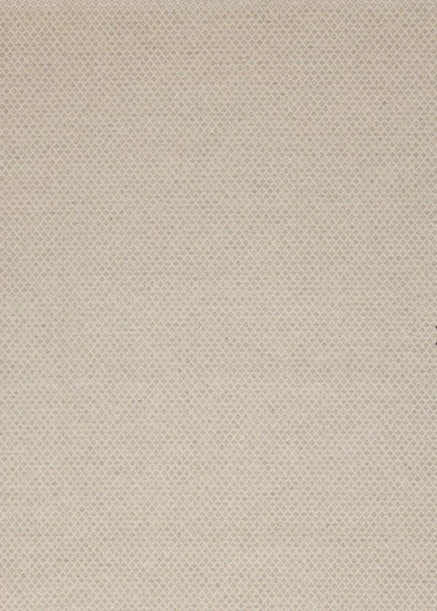 Flatweave Rug w/Diamond Texture