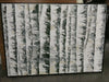 Art - Original Plaster Birch Trees Large 45" X 32" CLEARED