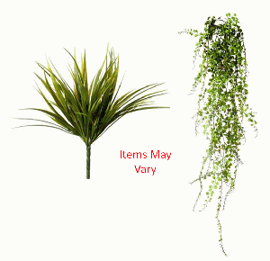 Plant - Small