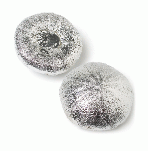 Round Silver Ceramic Urchin