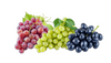 Fruit - Grapes Cluster