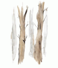 Art - Wandering I Medium 24" X 36" CLEARED