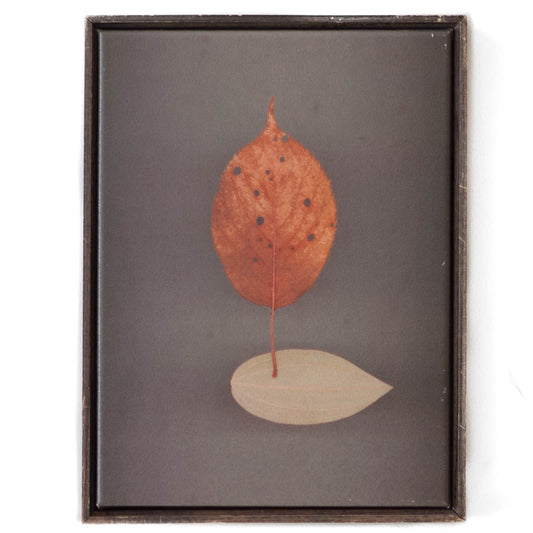 Art - Watson John Assemble 1 - Small - CLEARED 10" X 12"