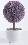 Small Lavender Tree Cement Pot