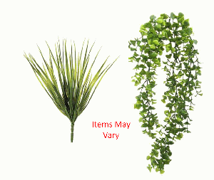 Plant - Medium