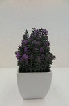 Medium Lavender Square White Pot