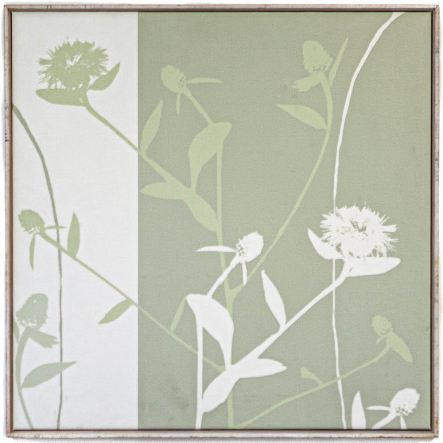 Art - Clark Wildflower - Small - CLEARED 20" X 20"