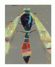 Art - What's Bugging You? Wasp - Small - CLEARED 11" X 14"