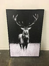 Art - Black & White Deer Medium 25" X 37" CLEARED