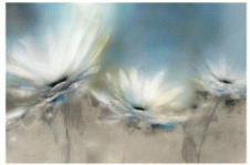 Art - Beachside Daisies Medium 39" X 26" CLEARED