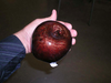 Fruit - Apple Metallic Chocolate