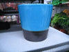 Pot - Blue Plant