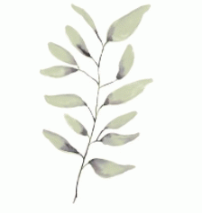 Art - LuLu II Large 32" X 48" CLEARED