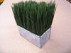 Pot w/ Grass 5x3"